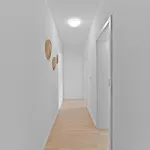 Lumiflats: